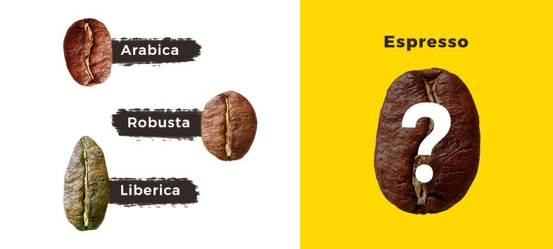 What is espresso. The Coffee Mate
