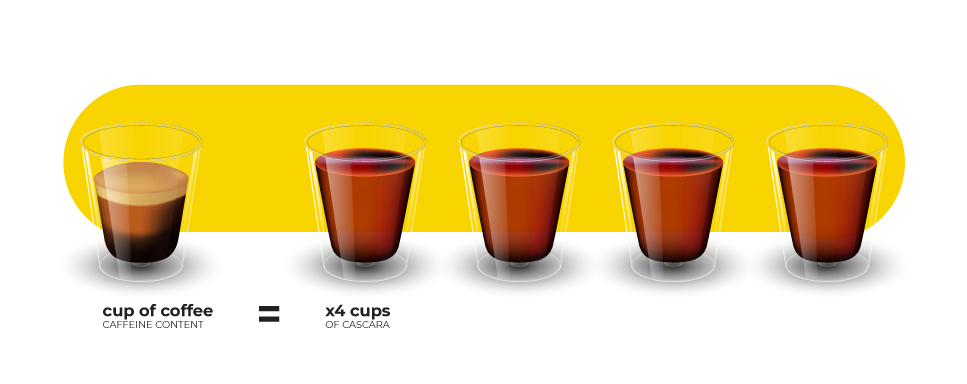 Caffeine content in cascara